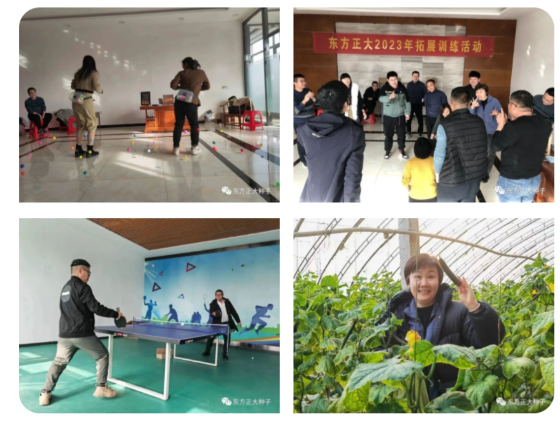 开拓创新面向未来---东方正大种子有限公司2022年度工作总结会议-公司动态-东方正大种子-东方正大