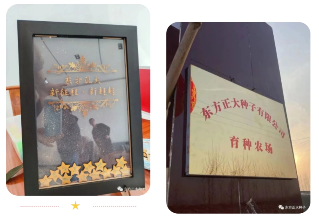 开拓创新面向未来---东方正大种子有限公司2022年度工作总结会议-公司动态-东方正大种子-东方正大